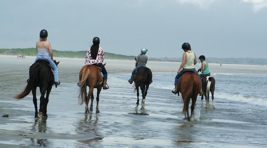 Horseback Riding at Seabrook Island Equestrian Center